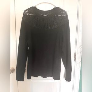 Express Lightweight Stretchy Crewneck sweater